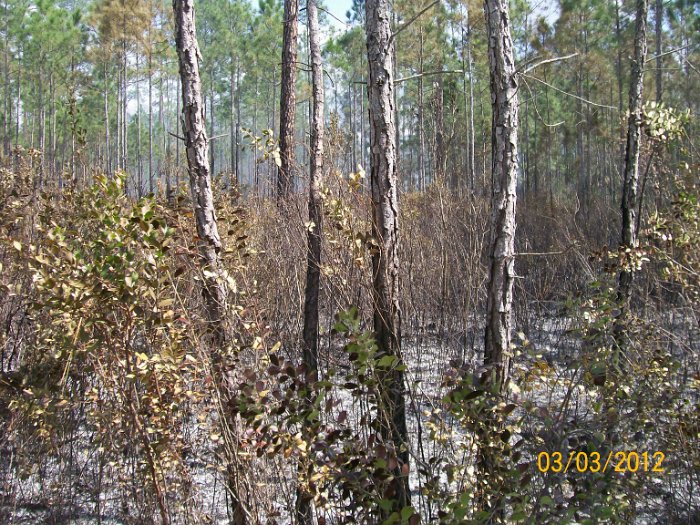 2012-Mar-03HGR4X4Richloam 136